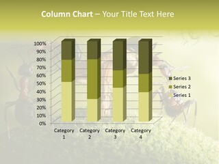 Tale Morning Scary PowerPoint Template