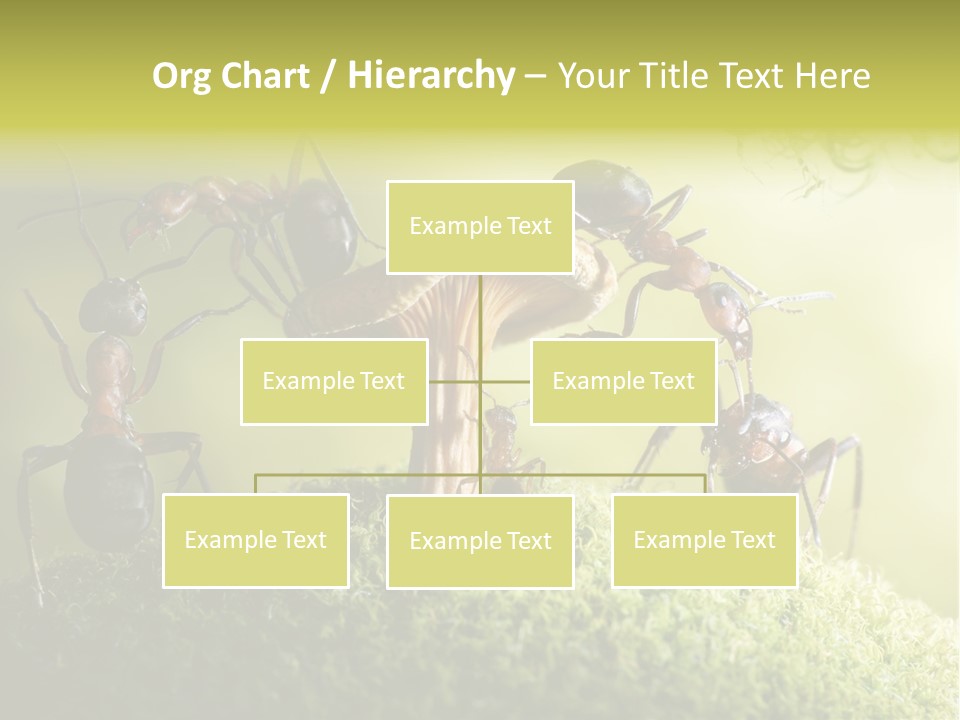 Tale Morning Scary PowerPoint Template