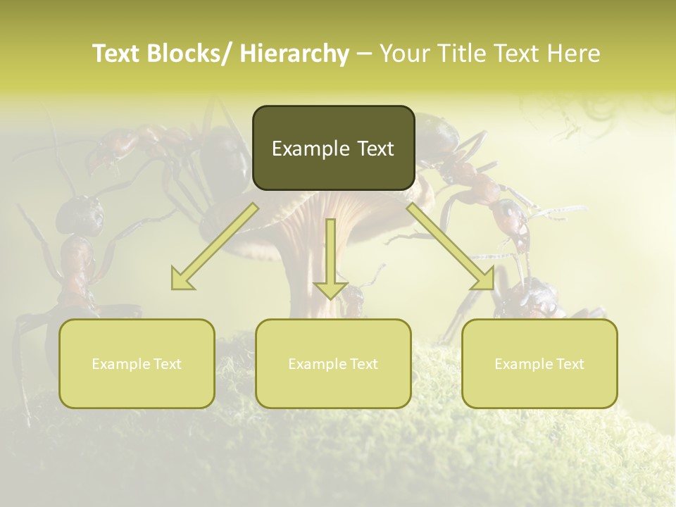 Tale Morning Scary PowerPoint Template