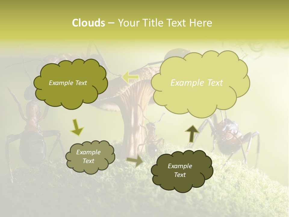 Tale Morning Scary PowerPoint Template