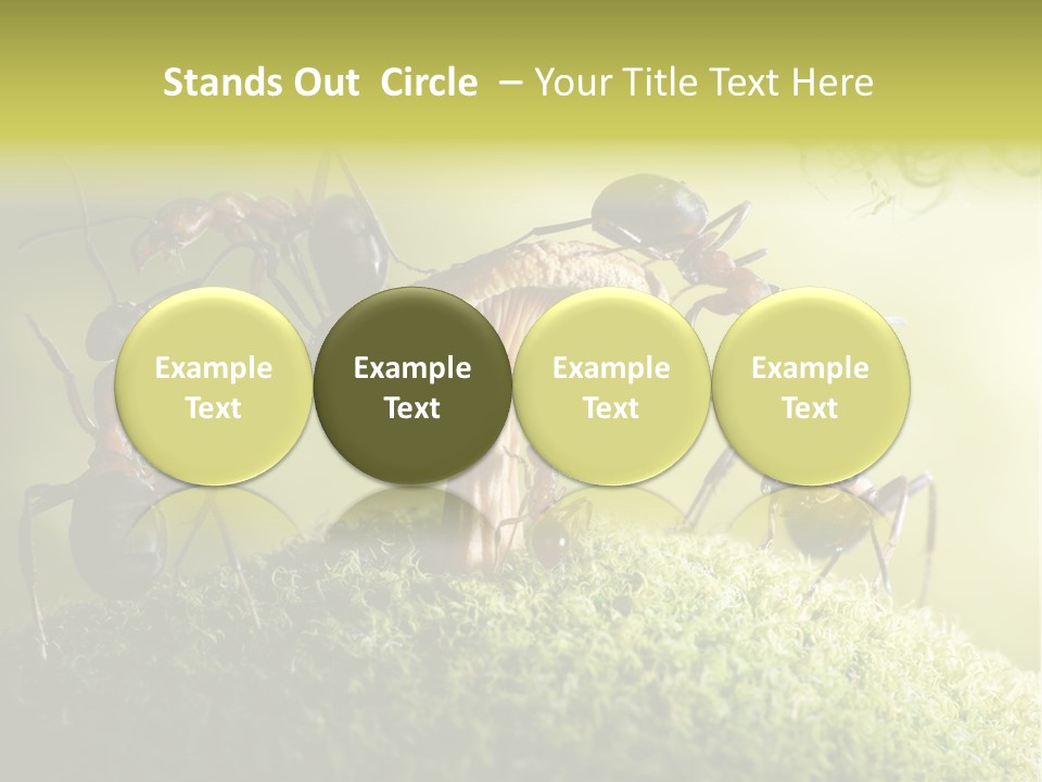 Tale Morning Scary PowerPoint Template