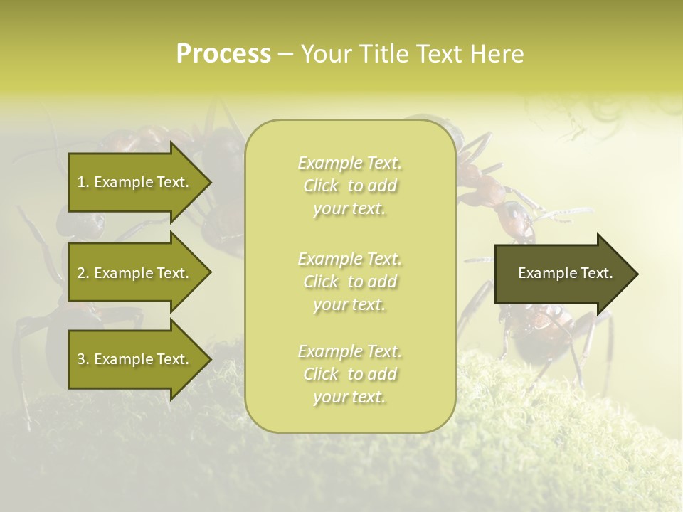 Tale Morning Scary PowerPoint Template
