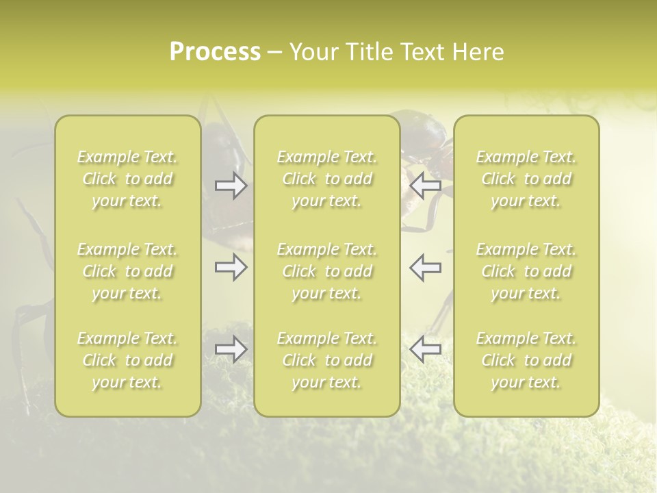 Tale Morning Scary PowerPoint Template