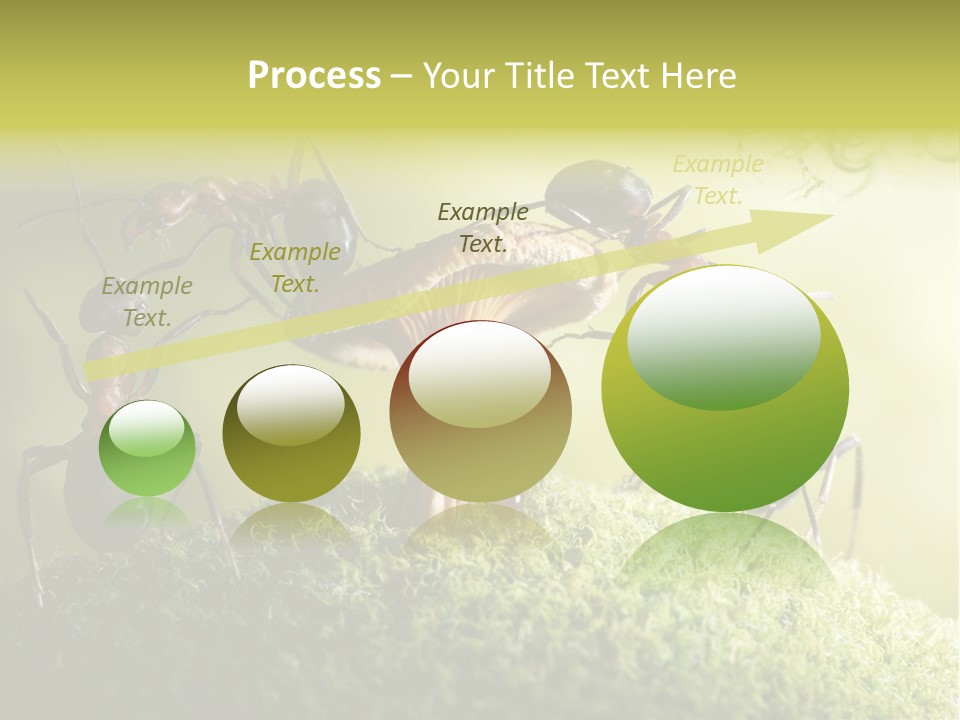 Tale Morning Scary PowerPoint Template