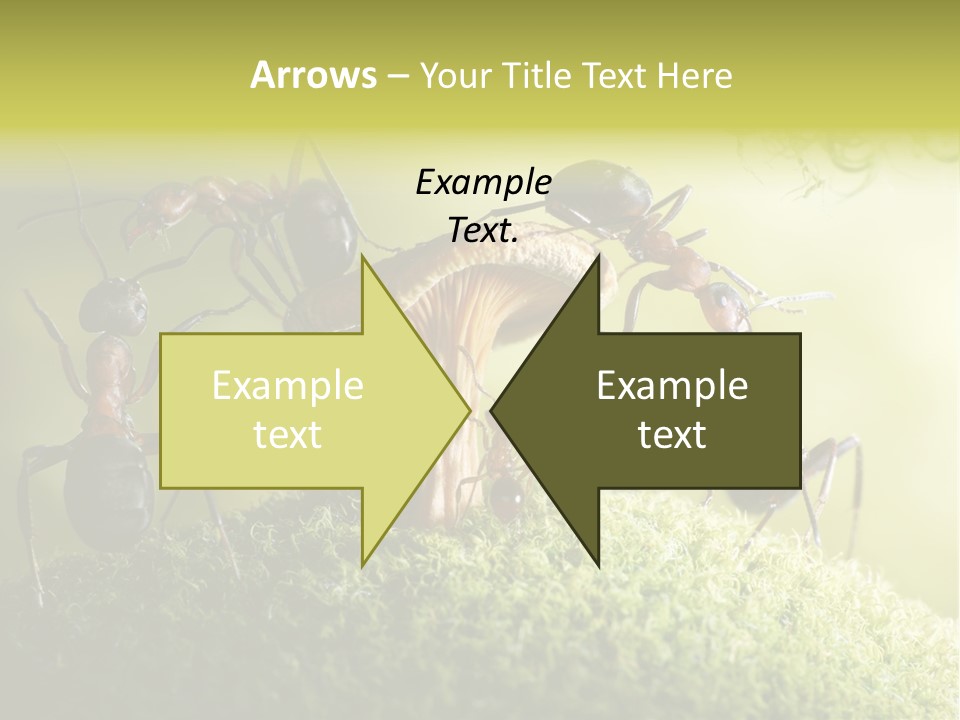 Tale Morning Scary PowerPoint Template