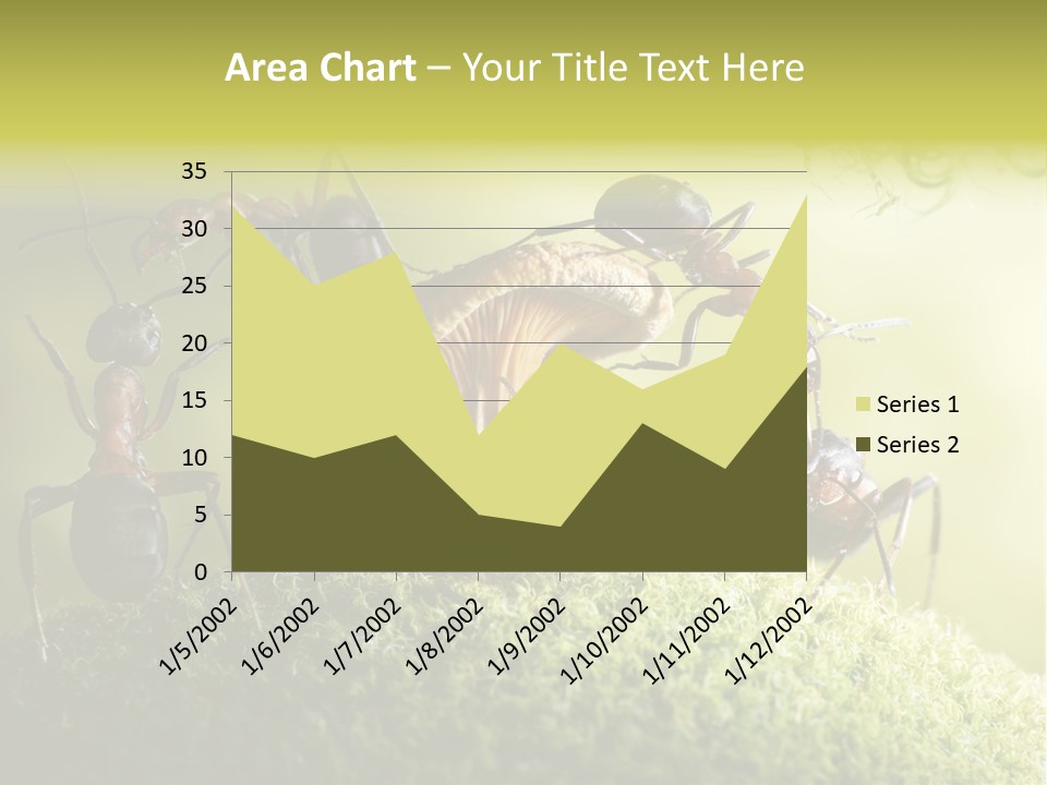 Tale Morning Scary PowerPoint Template