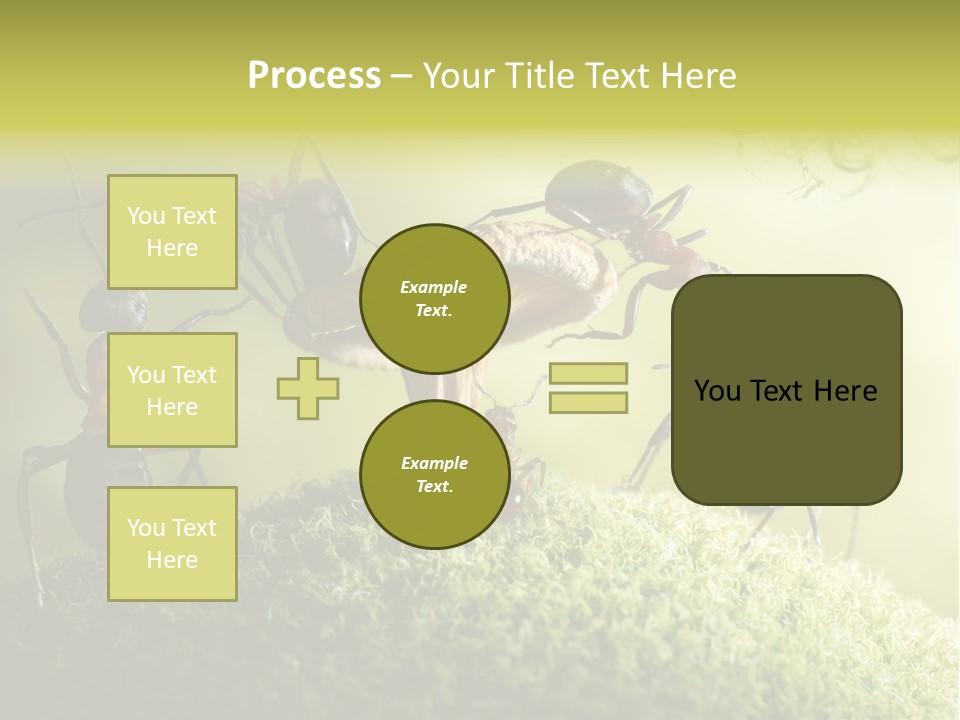 Tale Morning Scary PowerPoint Template