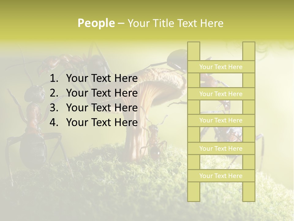 Tale Morning Scary PowerPoint Template