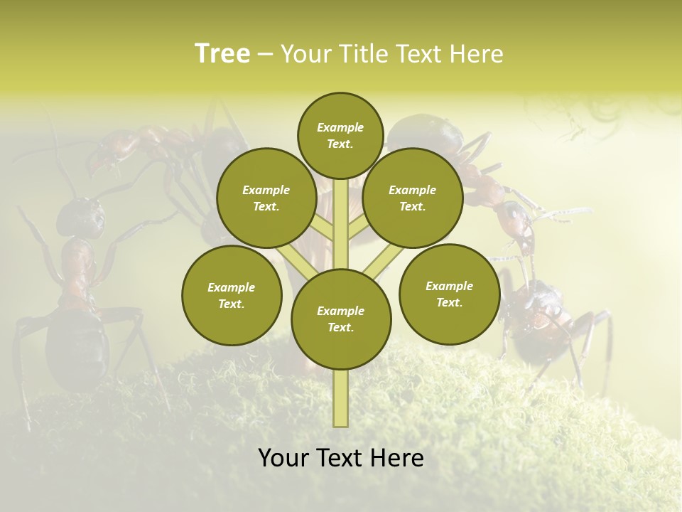 Tale Morning Scary PowerPoint Template