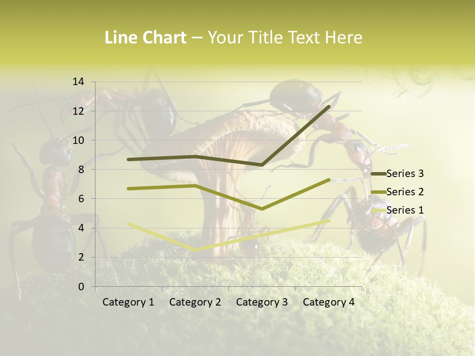 Tale Morning Scary PowerPoint Template