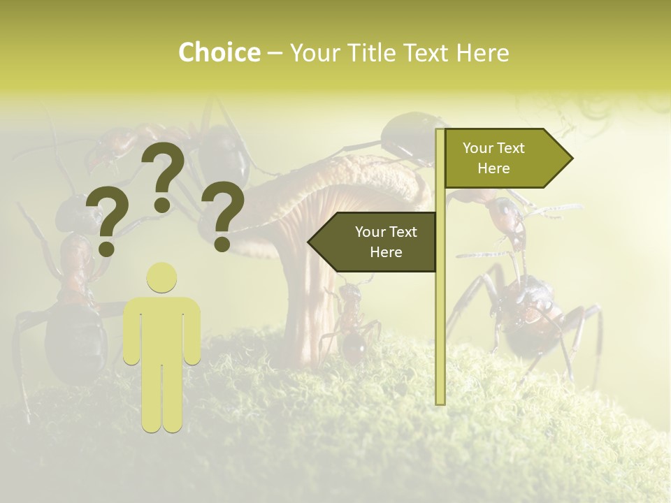 Tale Morning Scary PowerPoint Template