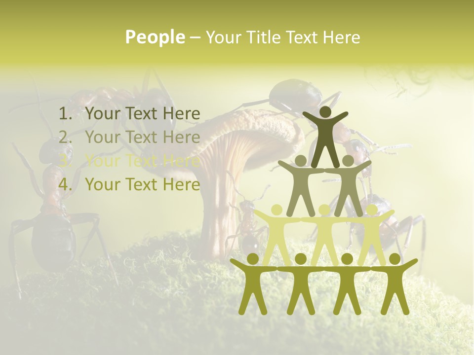 Tale Morning Scary PowerPoint Template