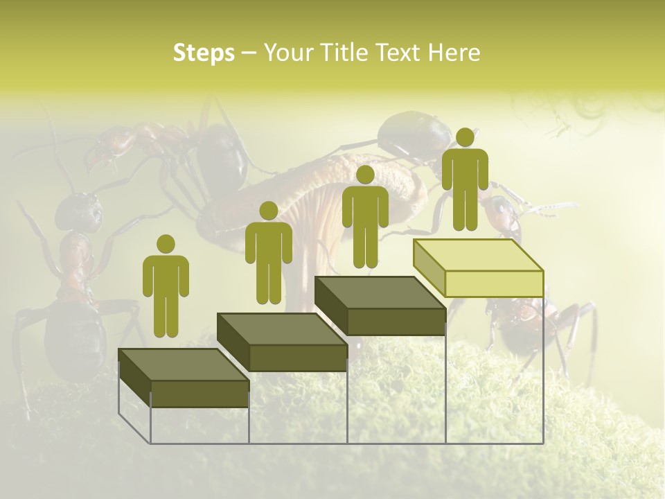 Tale Morning Scary PowerPoint Template