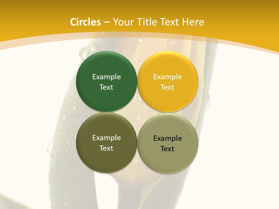 Humor Profe Ional Teamwork PowerPoint Template