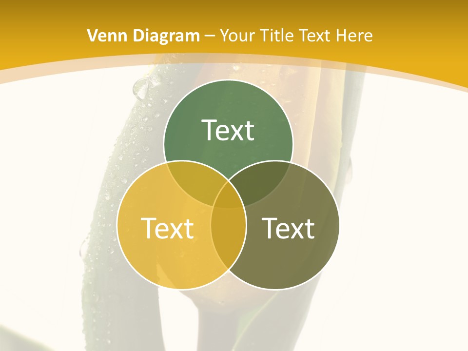 Humor Profe Ional Teamwork PowerPoint Template