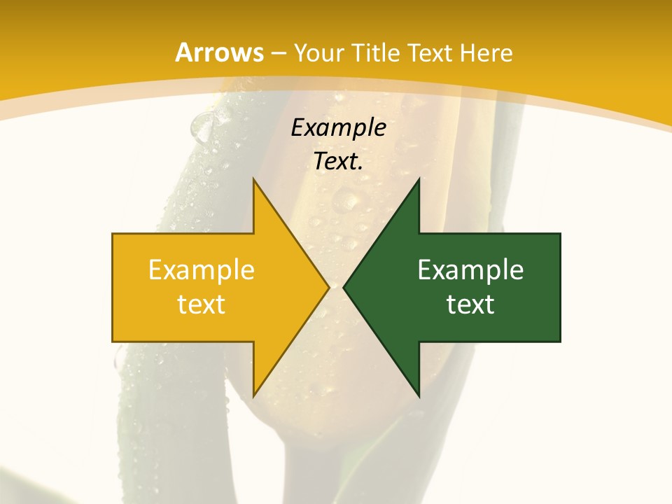 Humor Profe Ional Teamwork PowerPoint Template