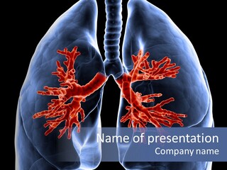 Rib Male Lymph PowerPoint Template