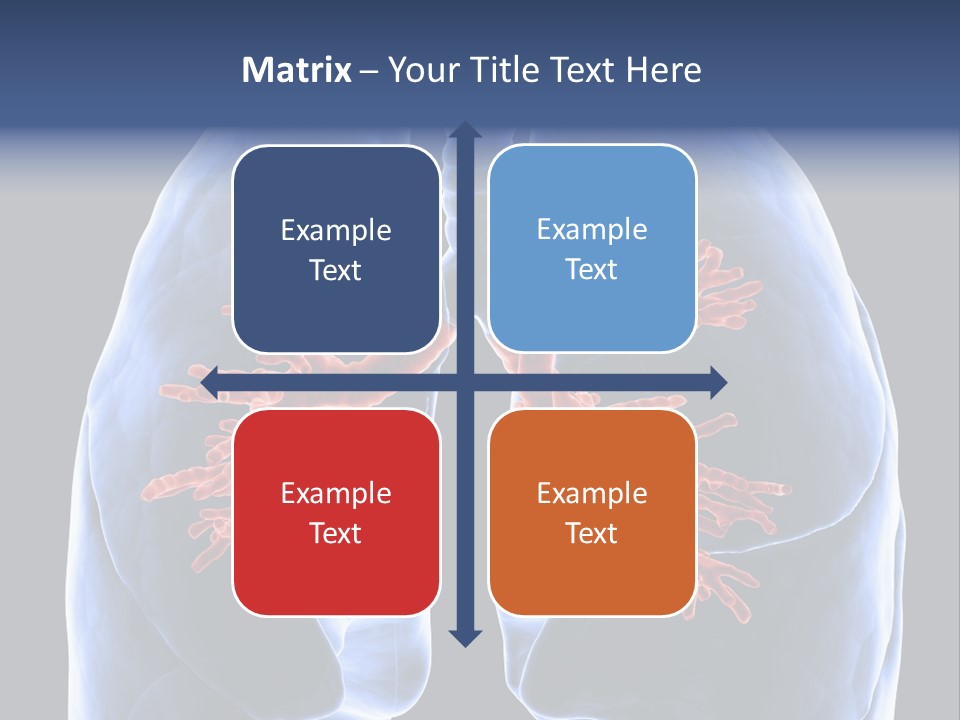 Rib Male Lymph PowerPoint Template