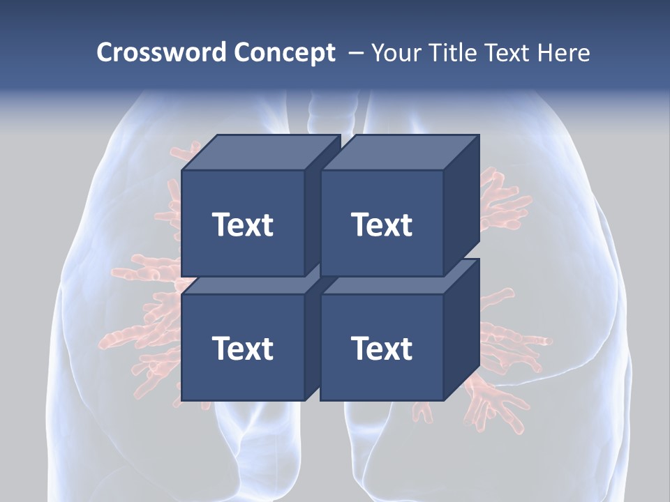 Rib Male Lymph PowerPoint Template