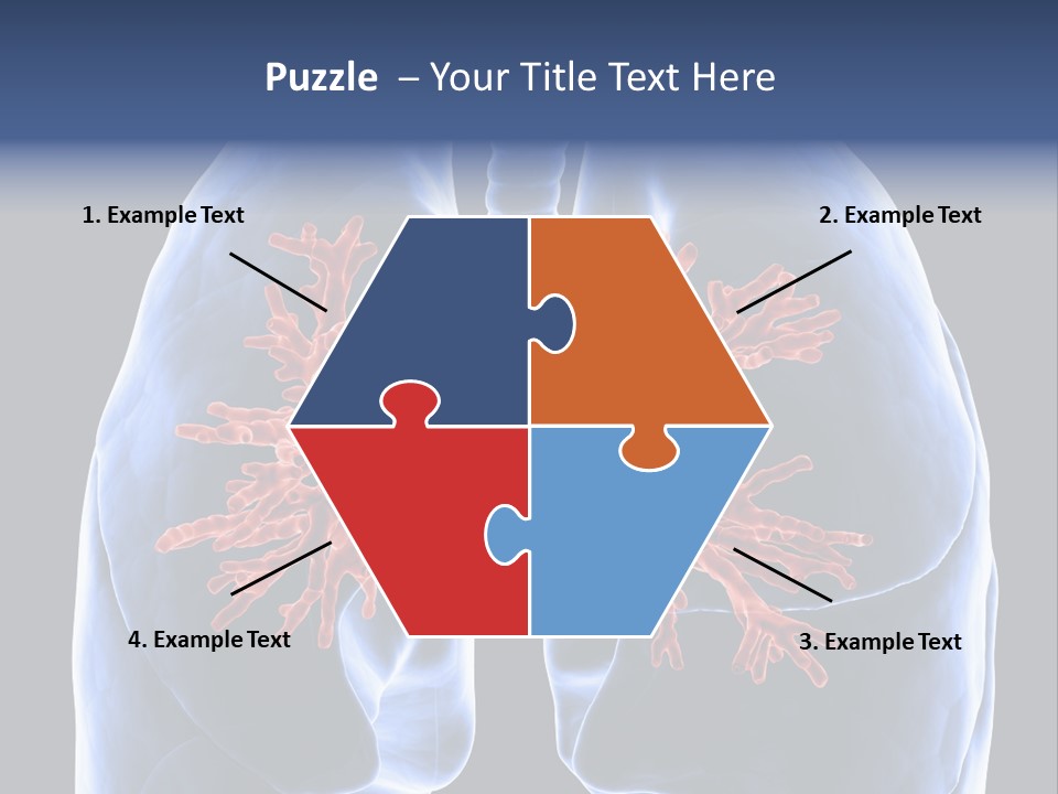 Rib Male Lymph PowerPoint Template