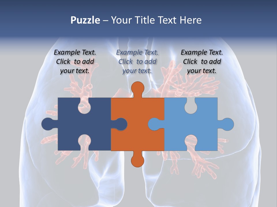 Rib Male Lymph PowerPoint Template