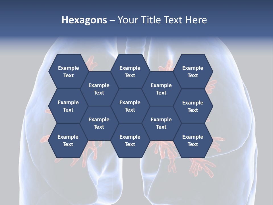 Rib Male Lymph PowerPoint Template