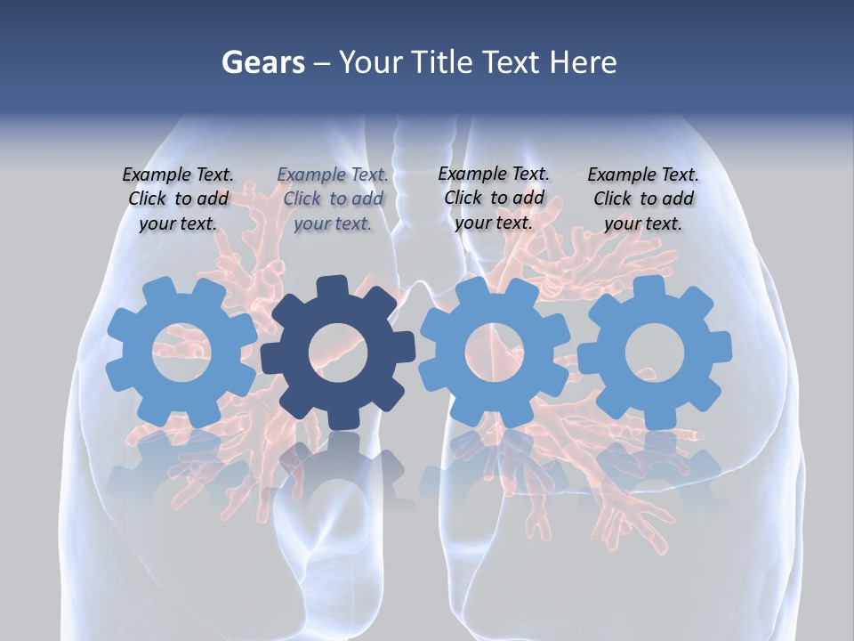 Rib Male Lymph PowerPoint Template