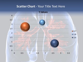 Rib Male Lymph PowerPoint Template