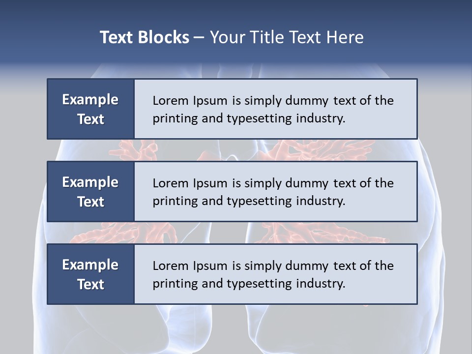 Rib Male Lymph PowerPoint Template