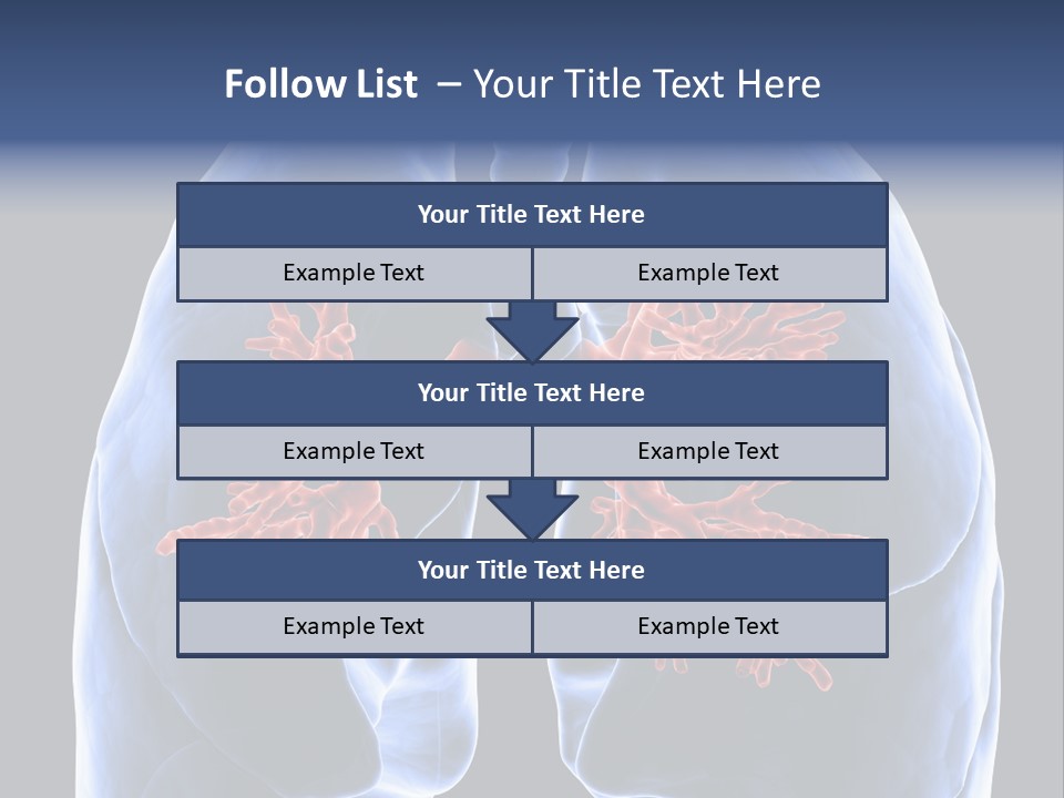 Rib Male Lymph PowerPoint Template