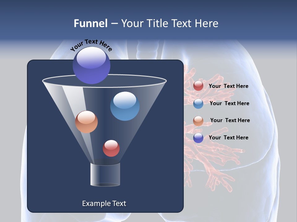 Rib Male Lymph PowerPoint Template