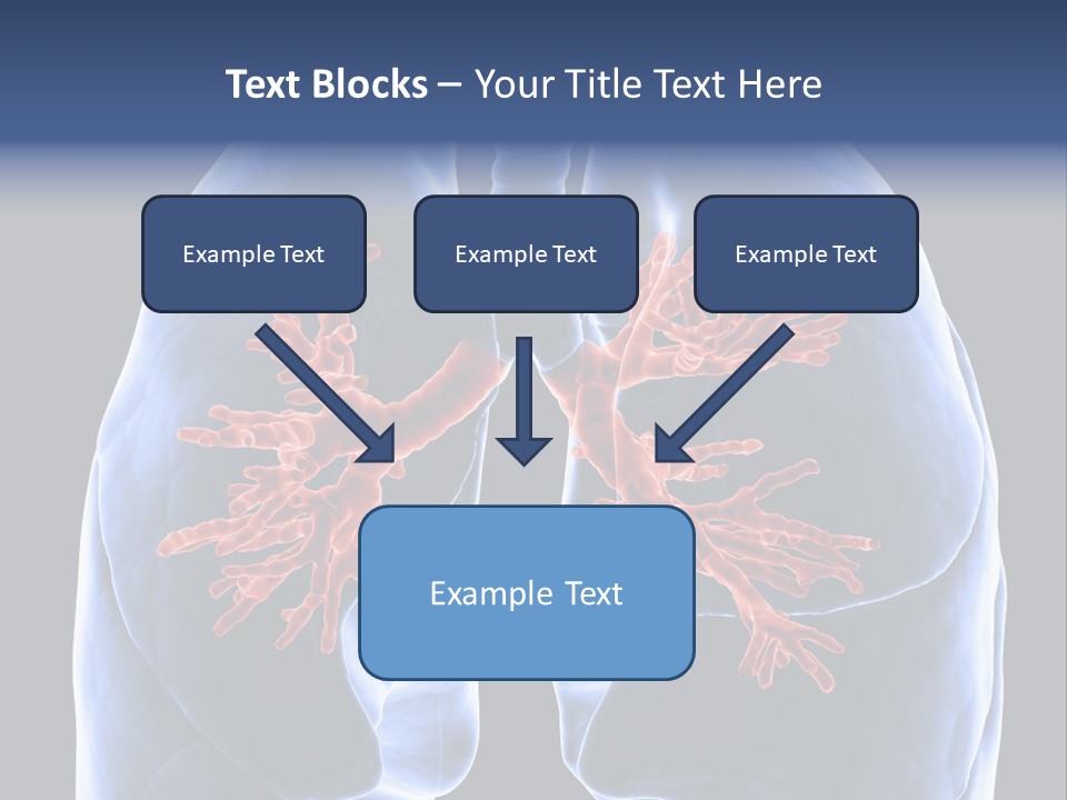 Rib Male Lymph PowerPoint Template