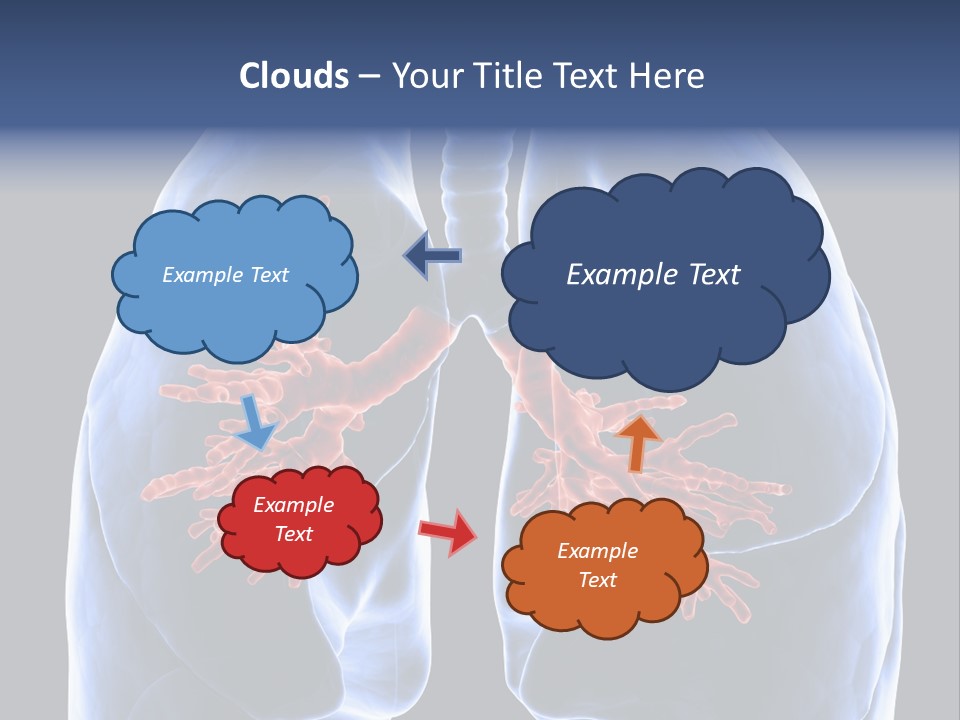 Rib Male Lymph PowerPoint Template