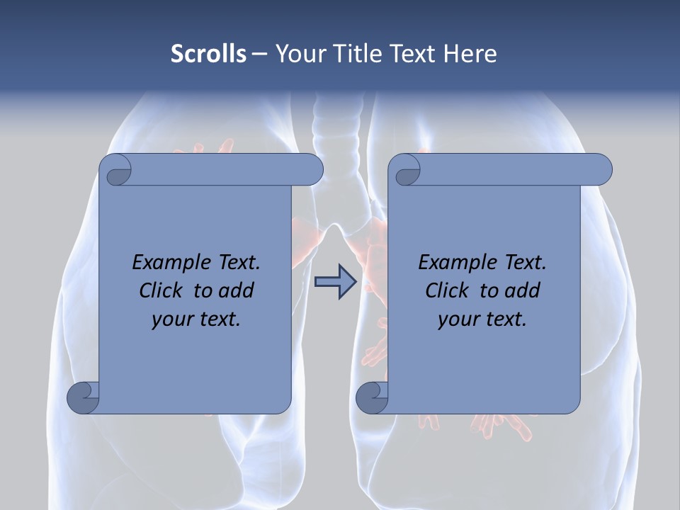 Rib Male Lymph PowerPoint Template