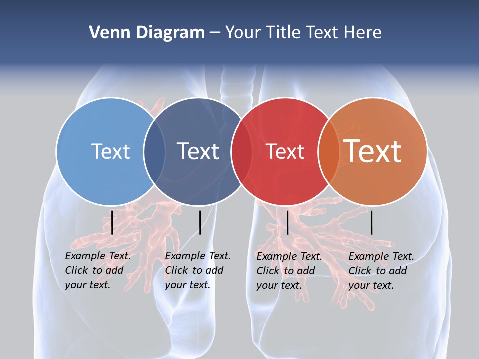 Rib Male Lymph PowerPoint Template
