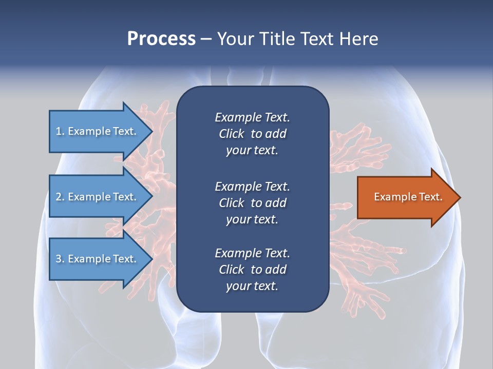 Rib Male Lymph PowerPoint Template