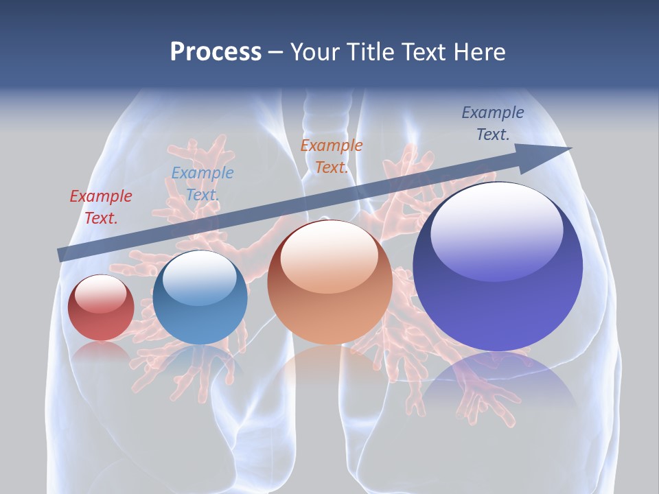 Rib Male Lymph PowerPoint Template