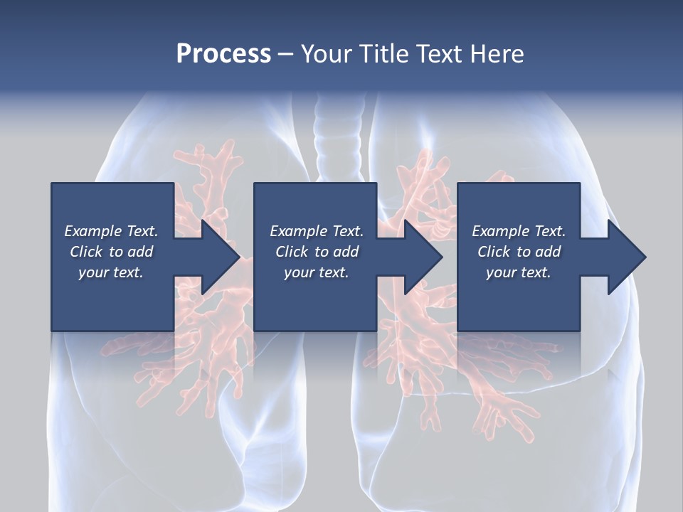 Rib Male Lymph PowerPoint Template