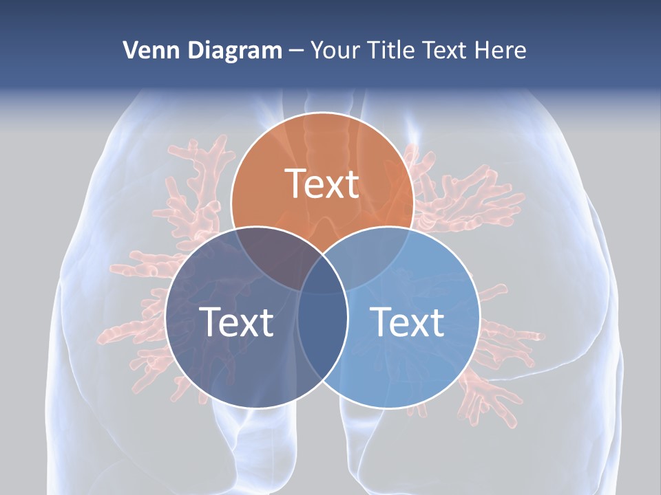 Rib Male Lymph PowerPoint Template