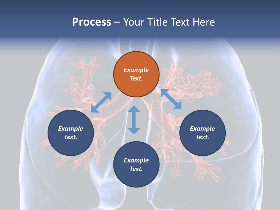 Rib Male Lymph PowerPoint Template