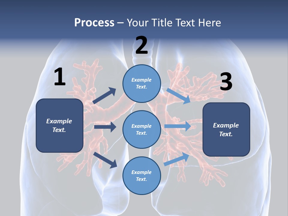 Rib Male Lymph PowerPoint Template