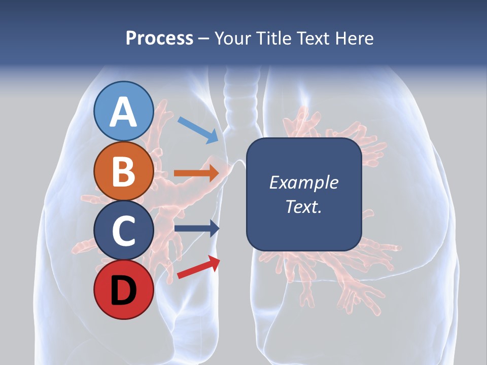 Rib Male Lymph PowerPoint Template