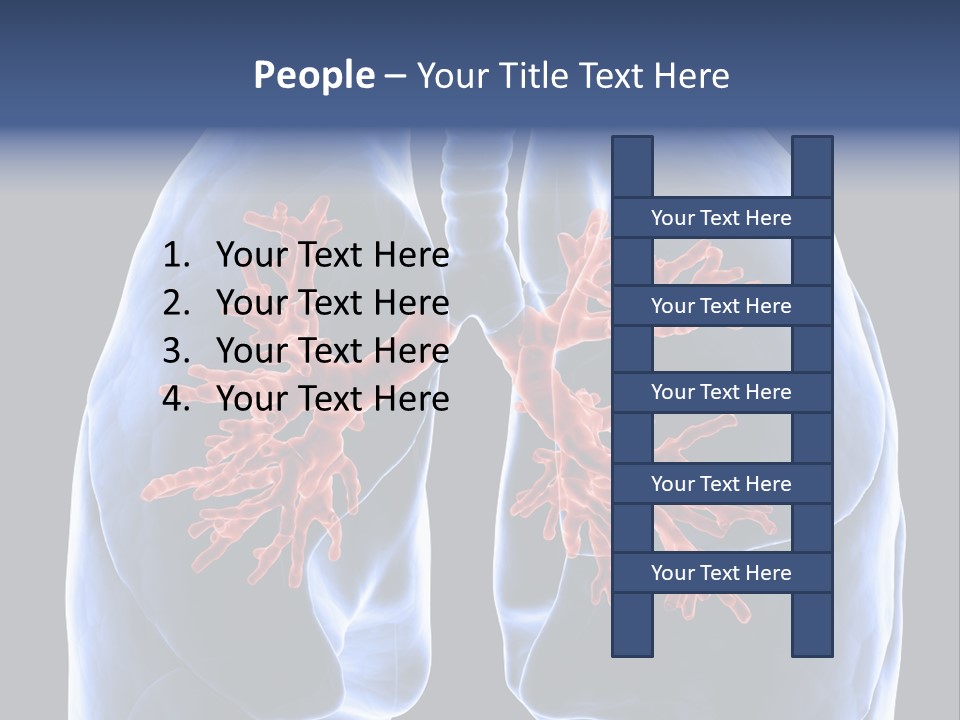 Rib Male Lymph PowerPoint Template