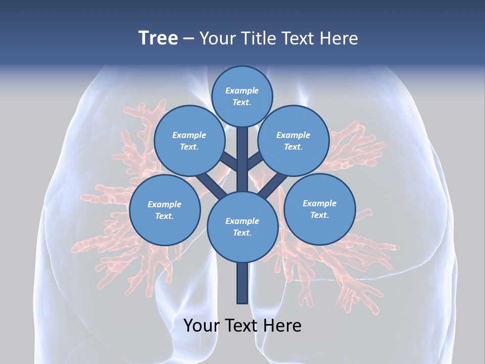 Rib Male Lymph PowerPoint Template