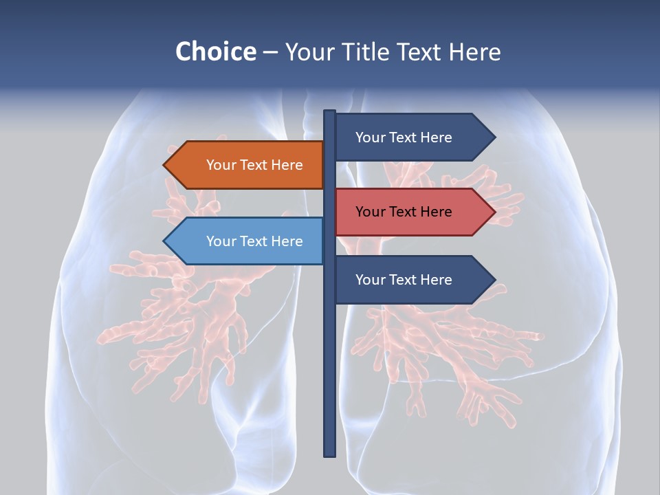 Rib Male Lymph PowerPoint Template