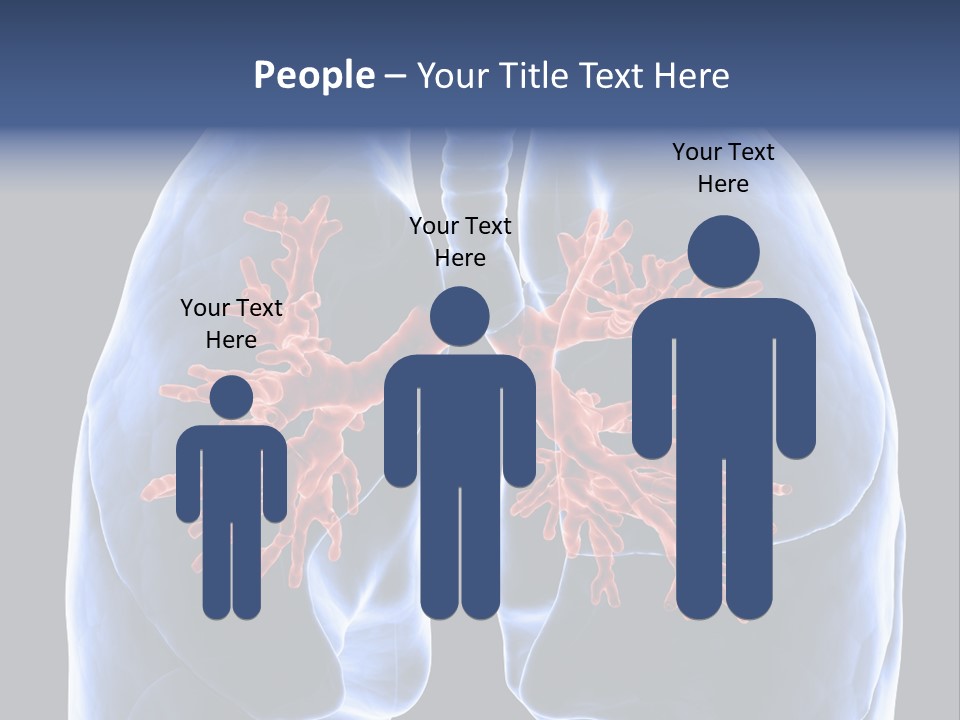 Rib Male Lymph PowerPoint Template