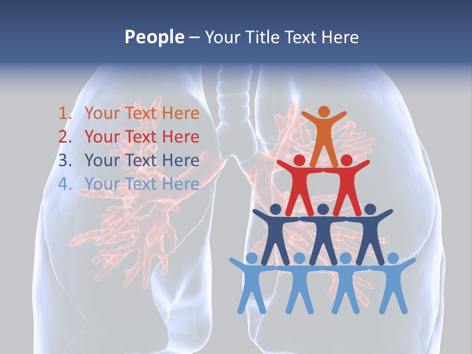 Rib Male Lymph PowerPoint Template