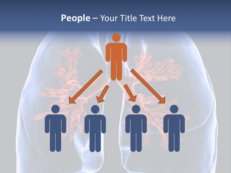 Rib Male Lymph PowerPoint Template