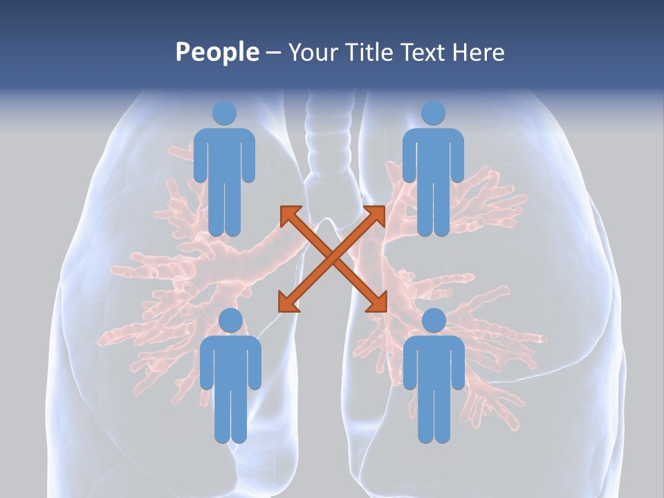 Rib Male Lymph PowerPoint Template