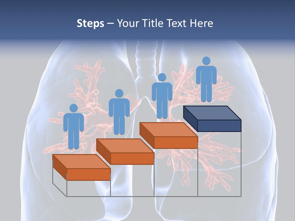 Rib Male Lymph PowerPoint Template